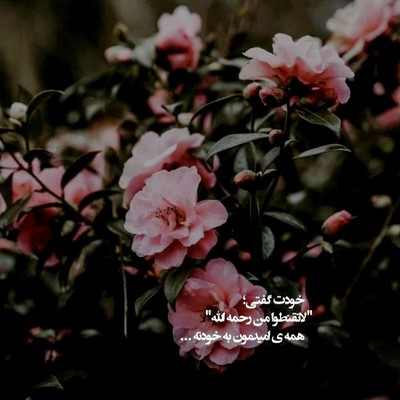 دلکش شایع بهرام رضا پیشرو میخوانم نغمه نو نغمه نو